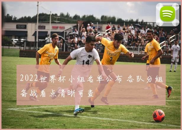 2022世界杯小组名单公布 各队分组备战看点清晰可查