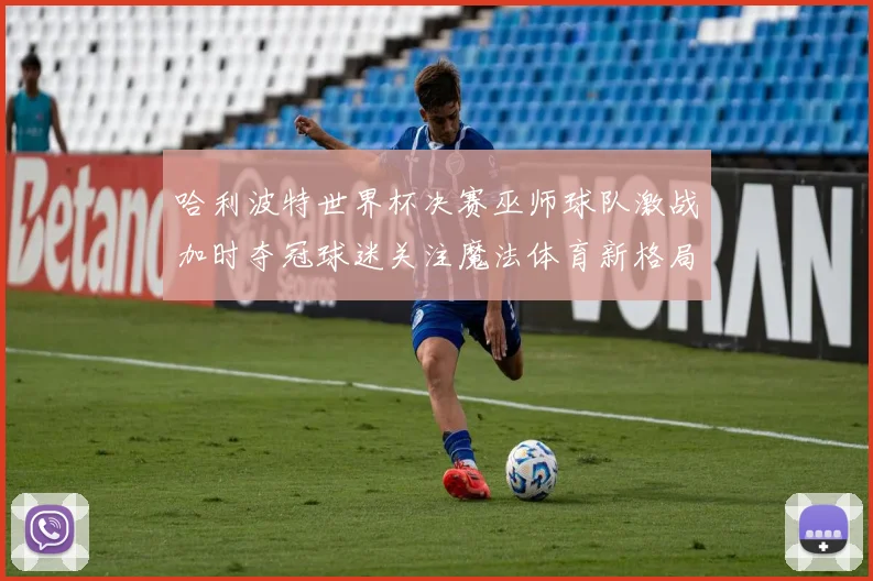 哈利波特世界杯决赛巫师球队激战加时夺冠球迷关注魔法体育新格局